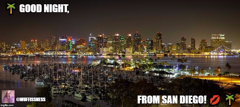 Good Night, From San Diego! | image tagged in san diego,skyline,good night | made w/ Imgflip meme maker