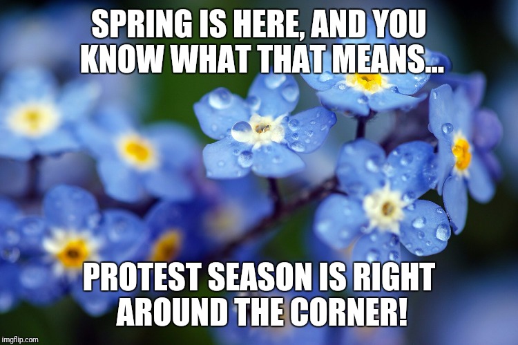 Protest season | SPRING IS HERE, AND YOU KNOW WHAT THAT MEANS... PROTEST SEASON IS RIGHT AROUND THE CORNER! | image tagged in protest | made w/ Imgflip meme maker
