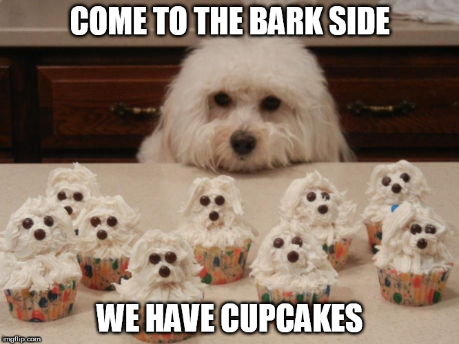 The great over-dog | COME TO THE BARK SIDE; WE HAVE CUPCAKES | image tagged in memes,funny animals,dogs,cupcakes | made w/ Imgflip meme maker