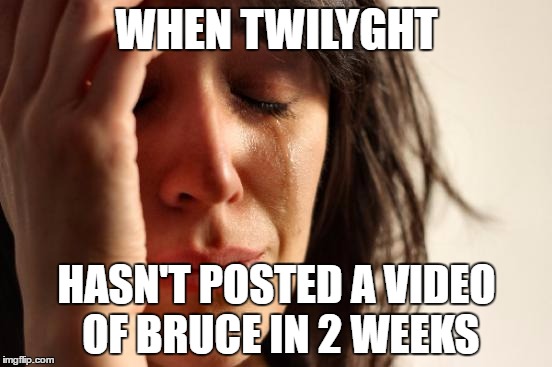 First World Problems Meme | WHEN TWILYGHT; HASN'T POSTED A VIDEO OF BRUCE IN 2 WEEKS | image tagged in memes,first world problems | made w/ Imgflip meme maker