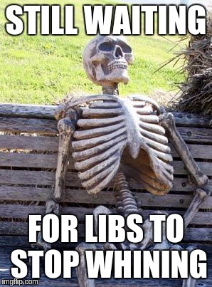 Waiting Skeleton Meme | STILL WAITING; FOR LIBS TO STOP WHINING | image tagged in memes,waiting skeleton | made w/ Imgflip meme maker