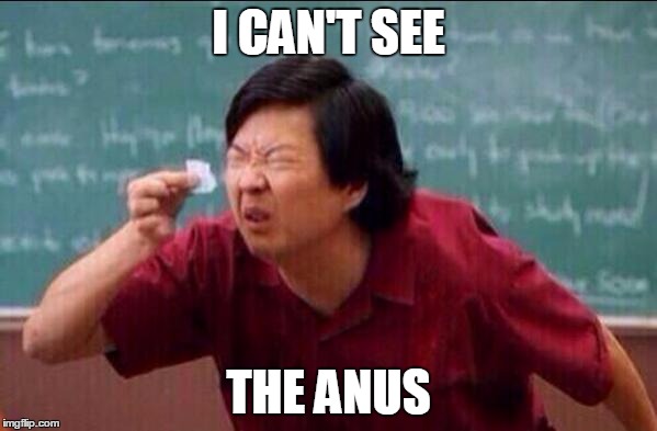 Ken jeong | I CAN'T SEE; THE ANUS | image tagged in ken jeong | made w/ Imgflip meme maker