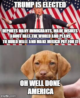 Oh dear... | TRUMP IS ELECTED; DEPORTS MANY IMMIGRANTS, MADE INSULTS ABOUT HALF THE WORLD AND PLANS TO BUILD WALL AND MAKE MEXICO PAY FOR IT; OH WELL DONE AMERICA | image tagged in disappointment,trump 2016,well done | made w/ Imgflip meme maker