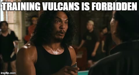 wilo | TRAINING VULCANS IS FORBIDDEN | image tagged in wilo | made w/ Imgflip meme maker