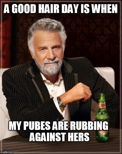 The Most Interesting Man In The World Meme | A GOOD HAIR DAY IS WHEN; MY PUBES ARE RUBBING AGAINST HERS | image tagged in memes,the most interesting man in the world | made w/ Imgflip meme maker
