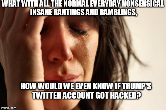 Trump  World Problems | WHAT WITH ALL THE NORMAL EVERYDAY NONSENSICAL INSANE RANTINGS AND RAMBLINGS, HOW WOULD WE EVEN KNOW IF TRUMP'S TWITTER ACCOUNT GOT HACKED? | image tagged in memes,first world problems | made w/ Imgflip meme maker