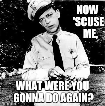Don Knotts lock n load,,, | NOW 'SCUSE   ME, WHAT WERE YOU GONNA DO AGAIN? | image tagged in don knotts lock n load   | made w/ Imgflip meme maker