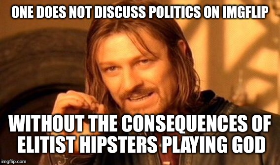 One Does Not Simply Meme | ONE DOES NOT DISCUSS POLITICS ON IMGFLIP WITHOUT THE CONSEQUENCES OF ELITIST HIPSTERS PLAYING GOD | image tagged in memes,one does not simply | made w/ Imgflip meme maker