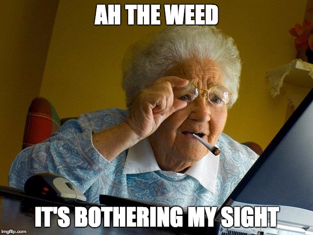 Grandma Finds The Internet Meme | AH THE WEED; IT'S BOTHERING MY SIGHT | image tagged in memes,grandma finds the internet | made w/ Imgflip meme maker