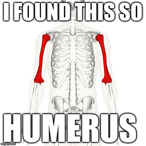 I FOUND THIS SO HUMERUS | image tagged in humerus | made w/ Imgflip meme maker