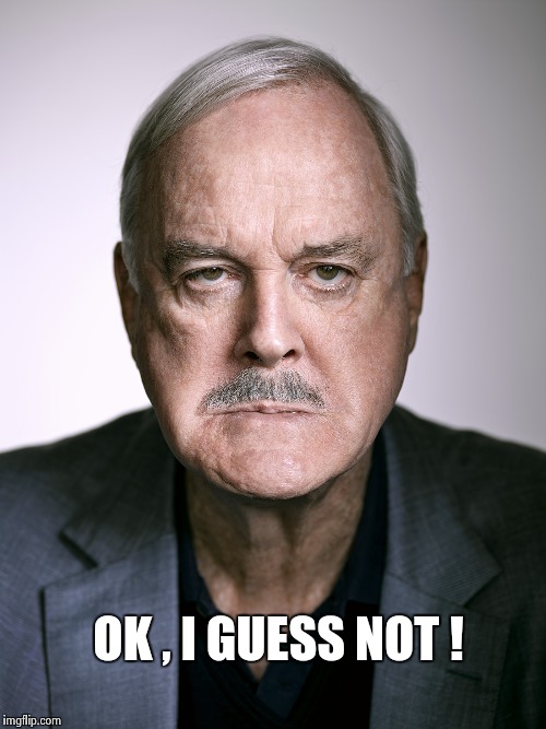 John Cleese | OK , I GUESS NOT ! | image tagged in john cleese | made w/ Imgflip meme maker