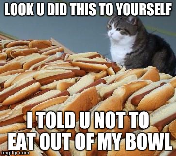 Too many hot dogs | LOOK U DID THIS TO YOURSELF; I TOLD U NOT TO EAT OUT OF MY BOWL | image tagged in too many hot dogs | made w/ Imgflip meme maker
