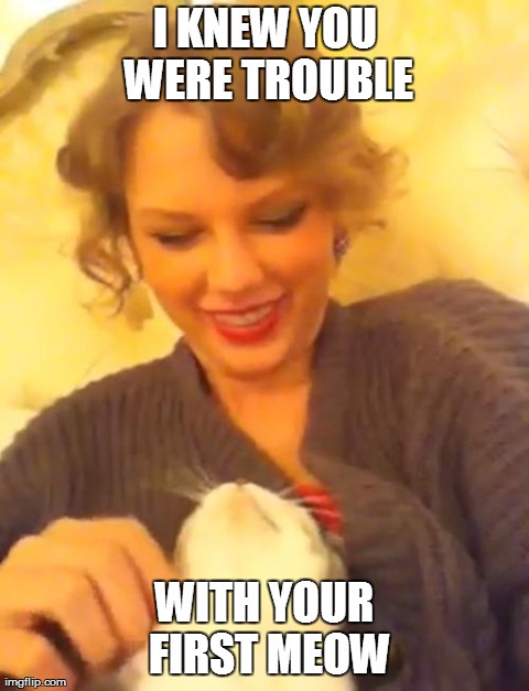 I KNEW YOU WERE TROUBLE WITH YOUR FIRST MEOW | made w/ Imgflip meme maker