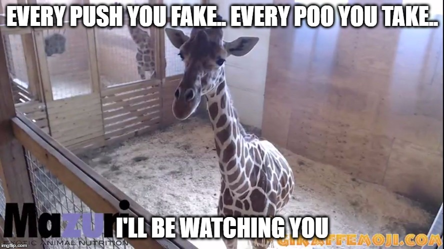EVERY PUSH YOU FAKE.. EVERY POO YOU TAKE.. I'LL BE WATCHING YOU | image tagged in aprilthegiraffe | made w/ Imgflip meme maker