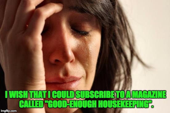 First World Problems | I WISH THAT I COULD SUBSCRIBE TO A MAGAZINE CALLED "GOOD-ENOUGH HOUSEKEEPING". | image tagged in memes,first world problems | made w/ Imgflip meme maker