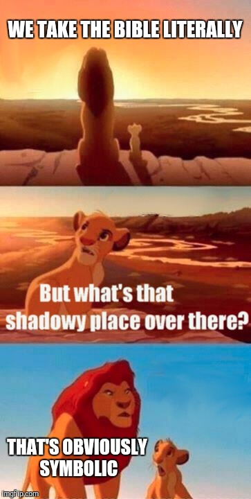 Simba Shadowy Place | WE TAKE THE BIBLE LITERALLY; THAT'S OBVIOUSLY SYMBOLIC | image tagged in memes,simba shadowy place | made w/ Imgflip meme maker