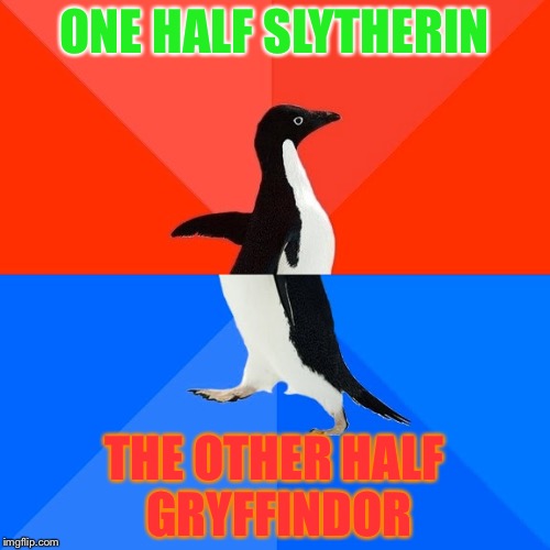 Socially Awesome Awkward Penguin | ONE HALF SLYTHERIN; THE OTHER HALF GRYFFINDOR | image tagged in memes,socially awesome awkward penguin | made w/ Imgflip meme maker
