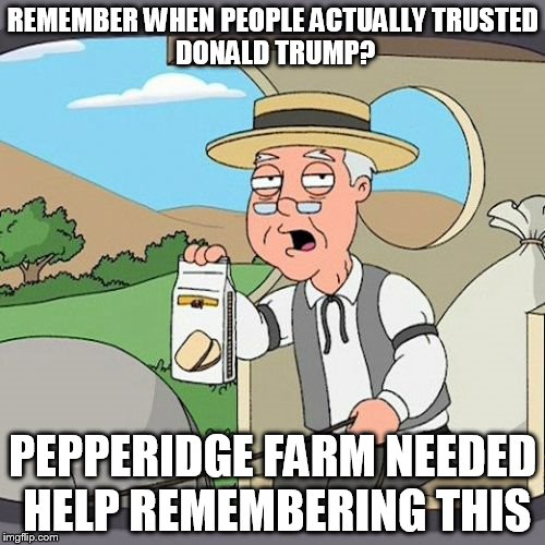 Pepperidge Farm Remembers Meme | REMEMBER WHEN PEOPLE ACTUALLY
TRUSTED DONALD TRUMP? PEPPERIDGE FARM NEEDED HELP REMEMBERING THIS | image tagged in memes,pepperidge farm remembers | made w/ Imgflip meme maker