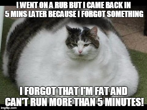 Fat Cat | I WENT ON A RUB BUT I CAME BACK IN 5 MINS LATER BECAUSE I FORGOT SOMETHING; I FORGOT THAT I'M FAT AND CAN'T RUN MORE THAN 5 MINUTES! | image tagged in fat cat | made w/ Imgflip meme maker