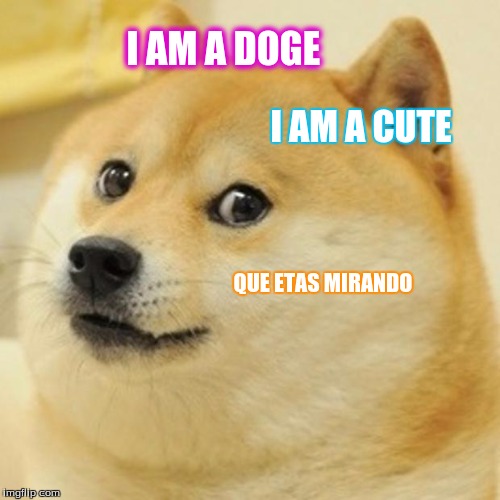 Doge | I AM A DOGE; I AM A CUTE; QUE ETAS MIRANDO | image tagged in memes,doge | made w/ Imgflip meme maker