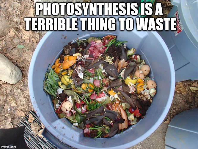 The shame of it all | PHOTOSYNTHESIS IS A TERRIBLE THING TO WASTE | image tagged in food,garbage | made w/ Imgflip meme maker