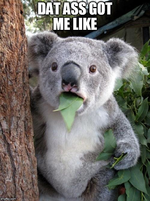 Surprised Koala |  DAT ASS GOT ME LIKE | image tagged in memes,surprised koala,dat ass,yoga pants week | made w/ Imgflip meme maker