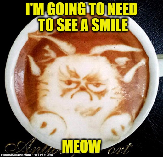 Grumpy Cat Coffee | I'M GOING TO NEED TO SEE A SMILE; MEOW | image tagged in grumpy cat coffee | made w/ Imgflip meme maker