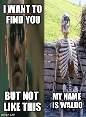 Fruff Fruff Fruff | I WANT TO FIND YOU; BUT NOT LIKE THIS; MY NAME IS WALDO | image tagged in memes | made w/ Imgflip meme maker