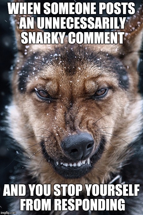 WHEN SOMEONE POSTS AN UNNECESSARILY SNARKY COMMENT; AND YOU STOP YOURSELF FROM RESPONDING | image tagged in facebook | made w/ Imgflip meme maker