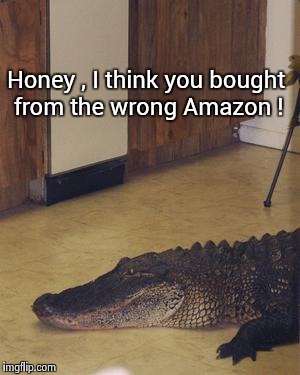 The Internet is a little confusing , sometimes | Honey , I think you bought from the wrong Amazon ! | image tagged in gator in the house | made w/ Imgflip meme maker