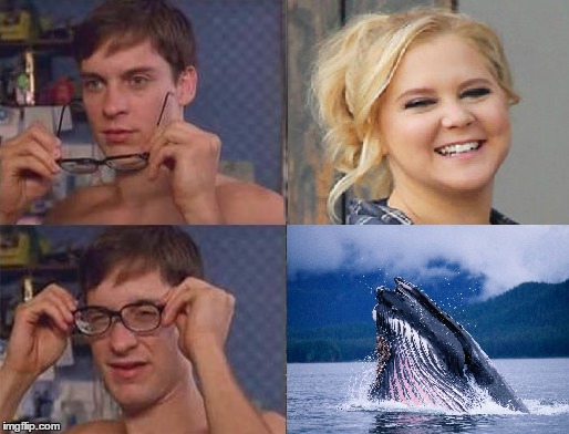 peterparkerglasses.exe | image tagged in glasses,peter parker,amy schumer,whales | made w/ Imgflip meme maker