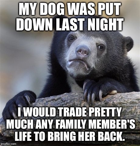 Confession Bear Meme | MY DOG WAS PUT DOWN LAST NIGHT; I WOULD TRADE PRETTY MUCH ANY FAMILY MEMBER'S LIFE TO BRING HER BACK. | image tagged in memes,confession bear | made w/ Imgflip meme maker