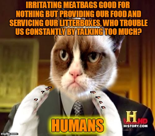 Grumplio A. Sourpusskalos speaks out! (Image by Jying.) | IRRITATING MEATBAGS GOOD FOR NOTHING BUT PROVIDING OUR FOOD AND SERVICING OUR LITTERBOXES, WHO TROUBLE US CONSTANTLY BY TALKING TOO MUCH? HUMANS; HUMANS | image tagged in grumpliens memestrocity,memes,jying,grumpy cat,ancient aliens,interspecies communication | made w/ Imgflip meme maker