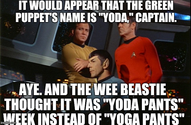 IT WOULD APPEAR THAT THE GREEN PUPPET'S NAME IS "YODA," CAPTAIN. AYE. AND THE WEE BEASTIE THOUGHT IT WAS "YODA PANTS" WEEK INSTEAD OF "YOGA  | made w/ Imgflip meme maker