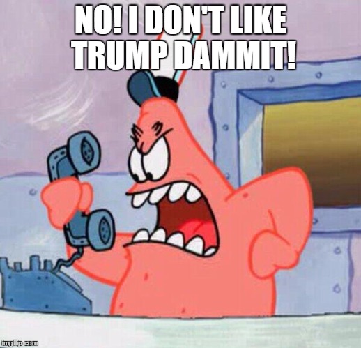 NO | NO! I DON'T LIKE TRUMP DAMMIT! | image tagged in no | made w/ Imgflip meme maker