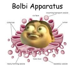 Bolbi Apparatus | image tagged in jimmy neutron,lmao | made w/ Imgflip meme maker