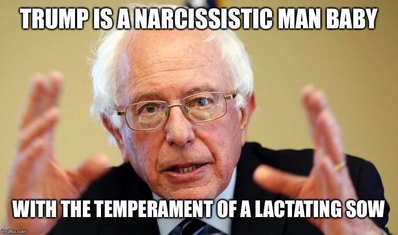 TRUMP IS A NARCISSISTIC MAN BABY WITH THE TEMPERAMENT OF A LACTATING SOW | made w/ Imgflip meme maker