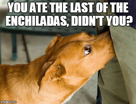 YOU ATE THE LAST OF THE ENCHILADAS, DIDN'T YOU? | made w/ Imgflip meme maker