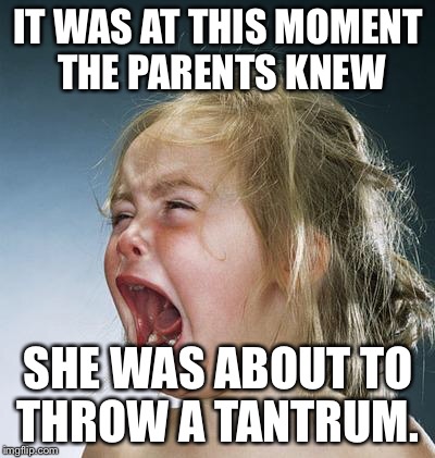 little girl screaming | IT WAS AT THIS MOMENT THE PARENTS KNEW; SHE WAS ABOUT TO THROW A TANTRUM. | image tagged in little girl screaming | made w/ Imgflip meme maker