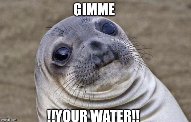 Awkward Moment Sealion | GIMME; !!YOUR WATER!! | image tagged in memes,awkward moment sealion | made w/ Imgflip meme maker