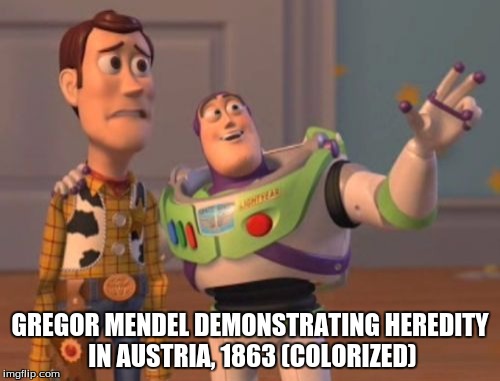 X, X Everywhere Meme | GREGOR MENDEL DEMONSTRATING HEREDITY IN AUSTRIA, 1863 (COLORIZED) | image tagged in memes,x x everywhere | made w/ Imgflip meme maker