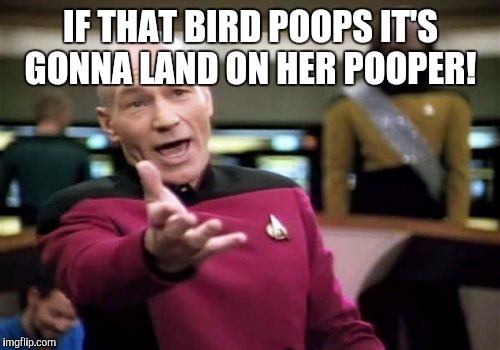 Picard Wtf Meme | IF THAT BIRD POOPS IT'S GONNA LAND ON HER POOPER! | image tagged in memes,picard wtf | made w/ Imgflip meme maker