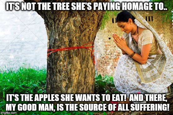  "I will multiply thy sorrows..and thou shalt be under thy husband's power, and he shall have dominion over thee. (Gen-3:16) | IT'S NOT THE TREE SHE'S PAYING HOMAGE TO.. IT'S THE APPLES SHE WANTS TO EAT!  AND THERE, MY GOOD MAN, IS THE SOURCE OF ALL SUFFERING! | image tagged in memes | made w/ Imgflip meme maker