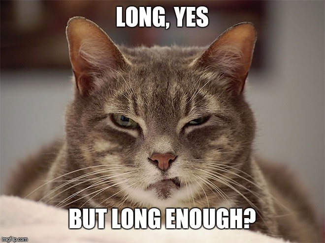 Sarcasm Cat | LONG, YES BUT LONG ENOUGH? | image tagged in sarcasm cat | made w/ Imgflip meme maker
