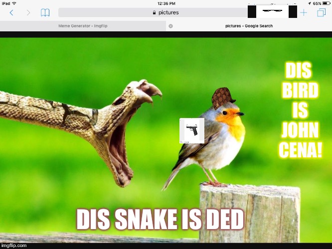 DIS BIRD IS JOHN CENA! DIS SNAKE IS DED | image tagged in not this time,scumbag | made w/ Imgflip meme maker
