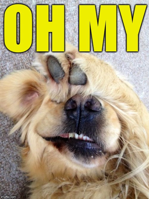 OH MY | made w/ Imgflip meme maker