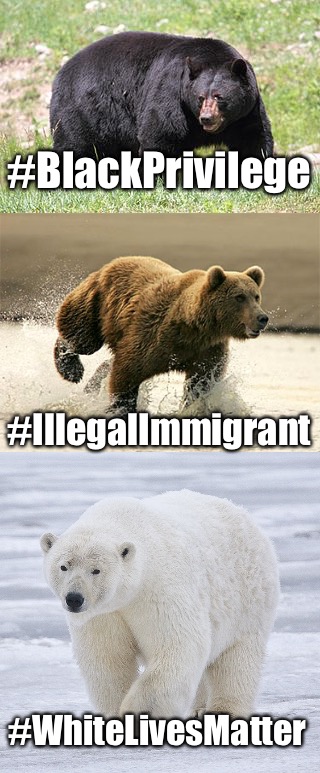 If racism existed in the animal kingdom | #BlackPrivilege; #IllegalImmigrant; #WhiteLivesMatter | image tagged in memes,white privilege,black lives matter | made w/ Imgflip meme maker