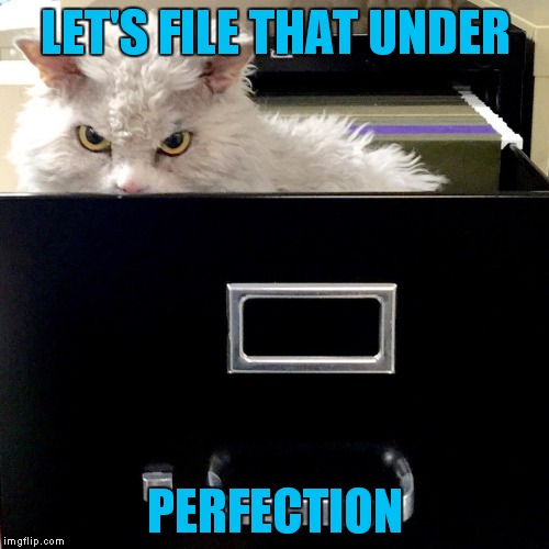 LET'S FILE THAT UNDER PERFECTION | image tagged in pompous lets file that under | made w/ Imgflip meme maker