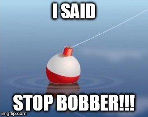 Bobber | I SAID; STOP BOBBER!!! | image tagged in bobber | made w/ Imgflip meme maker