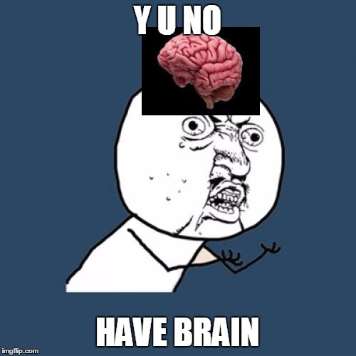 Y U No Meme | Y U NO HAVE BRAIN | image tagged in memes,y u no | made w/ Imgflip meme maker